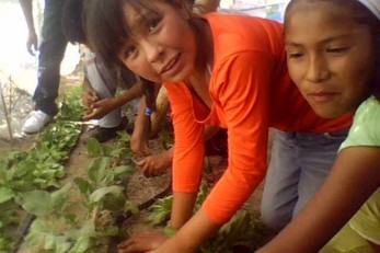 Kids Growing Fun