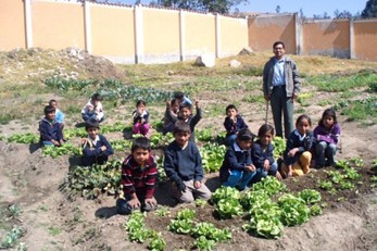 De Patsa a Pacha: Tierra Saludable, Ninos Saludables