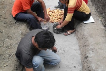 Youth Environmental Campaign