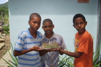 Engineering a Brighter Future! (The Young Dominican Engineers Club)