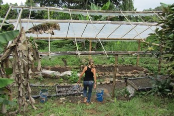 Friends of the Environment, Quebradas