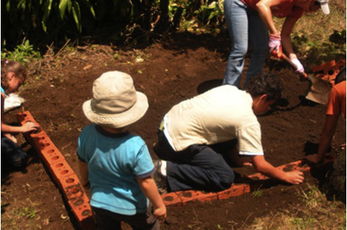 School Reforestation = Community Beautification