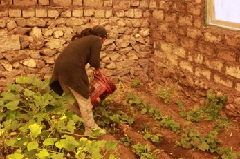 Adobe Greenhouses in Tuti