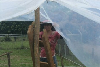 Women's Group Greenhouse