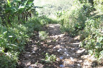 Bringing Water to La Finca