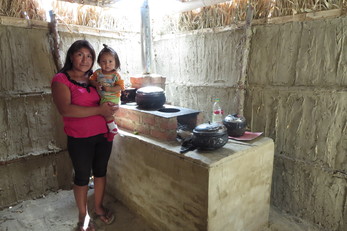 Healthy Homes with Improved Cook Stoves