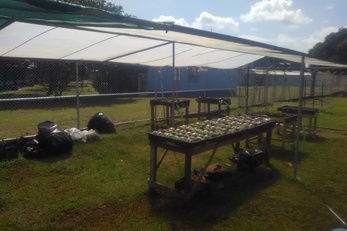 Los Chiles School Garden Project