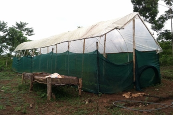 Make Our Garden Grow: Vegetable Cultivation for Healthy Families