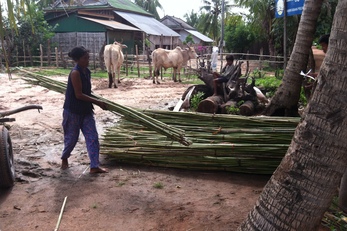 Communal Latrines for Community Sanitation: Fighting Against Open Defecation