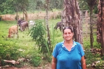 Organic Farm Business