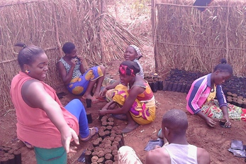 Sawali Reforestation Project