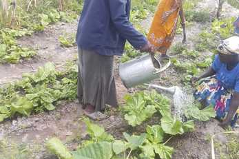 Milala Organic Fertilizer Making Project