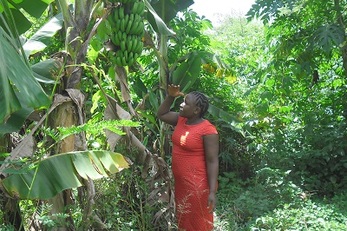 Viable and Sustainable Climate Change Adaptations to enhance Food security Income and Nutrition (VICCA_FIN Project)