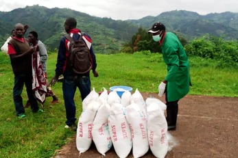 COVID-19: Food Access and Handwashing Stations