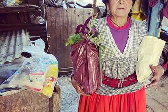 COVID-19: Food Security, Employment, and Market Access Among Rural, Indigenous Families
