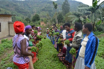Rabbit farming to support teenager mothers at Banda Village