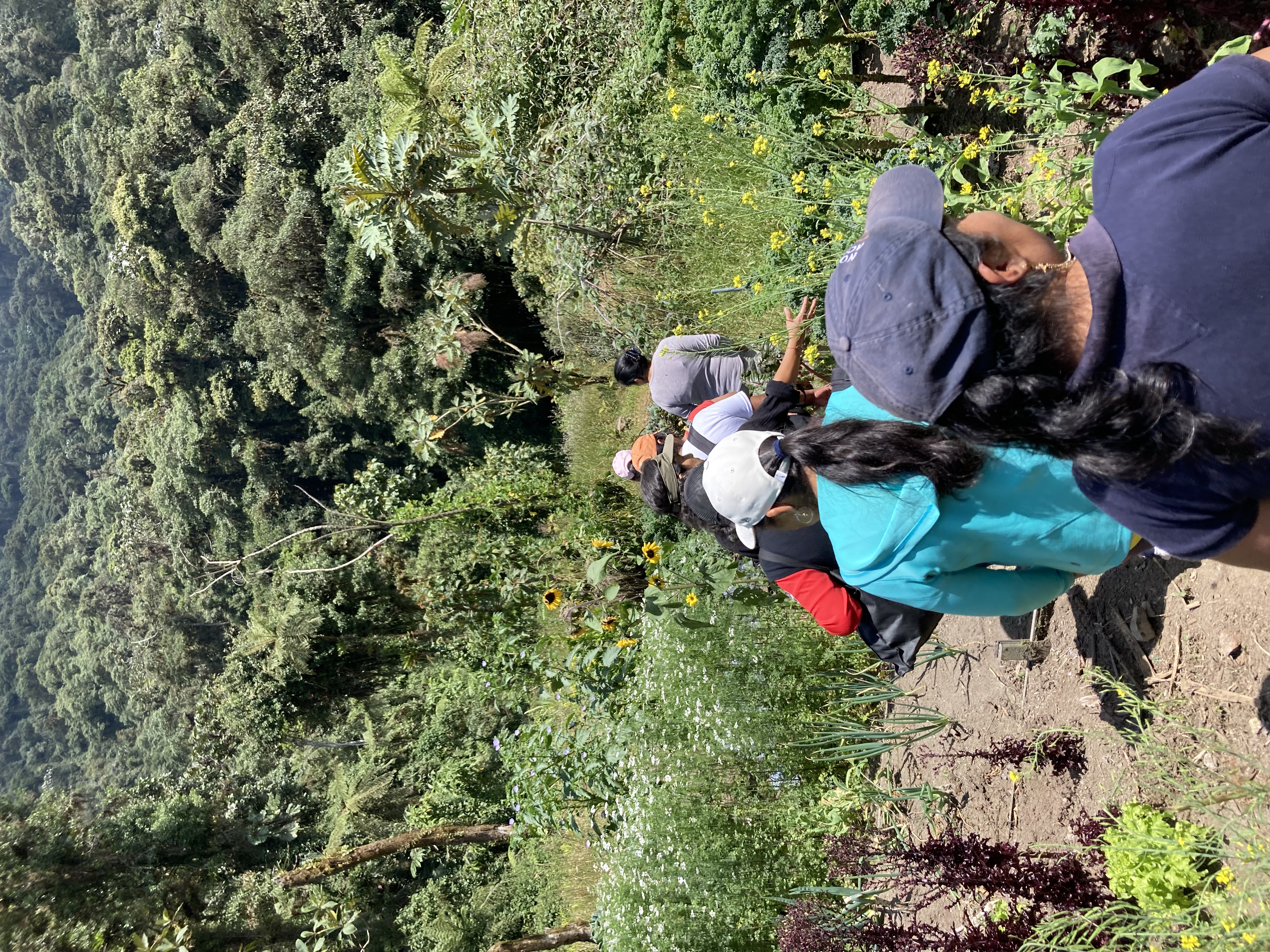 Santa Rosa Women’s Community Eco-Tourism