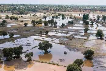 The Livelihoods Fund for Family Farming Affected by Cyclone project