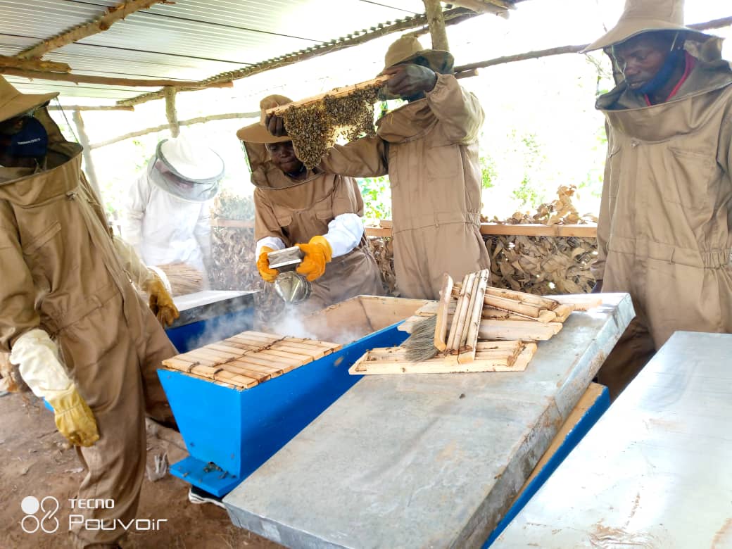 Building a Sustainable Beekeeping Community.