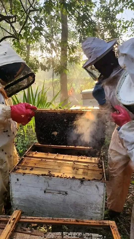 Chiwamba Bee Keeping Project