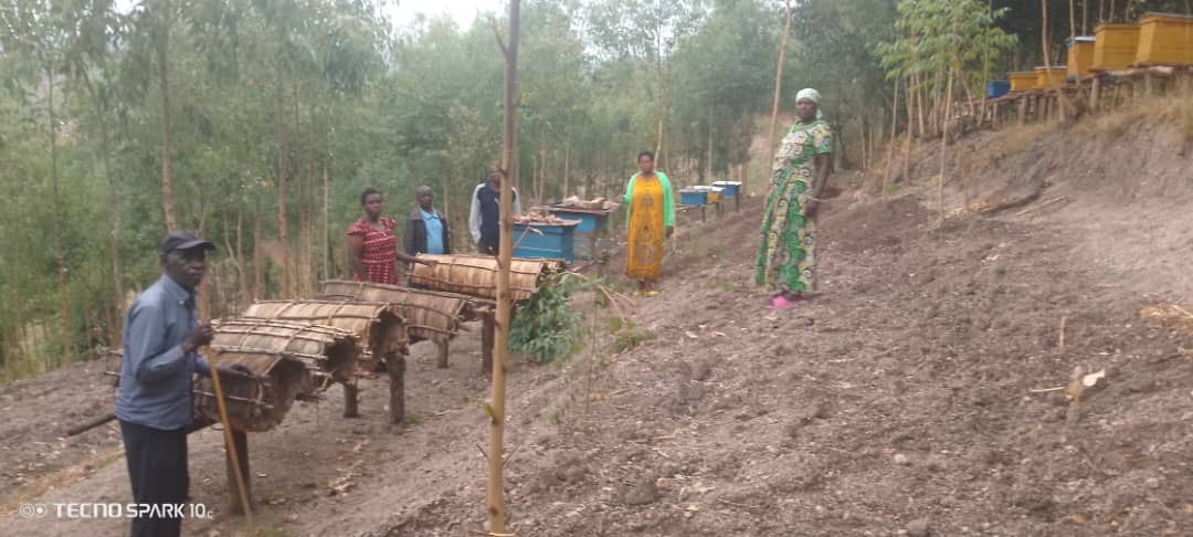 Twisungane-Bavumvu Sustainable Beekeeping for Poverty Alleviation Project